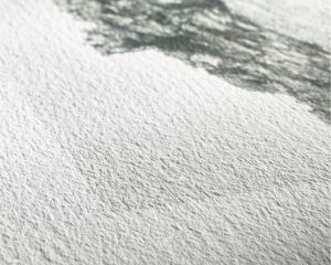 Giclee Printing