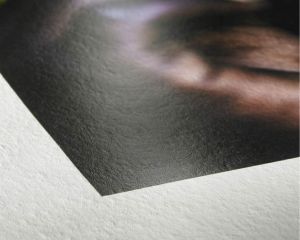 Giclee Printing